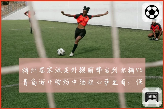 梅州客家放走外援前锋吉列尔梅vs青岛海牛续约中场核心萨里奇,保级队人员流失与保留决策对比