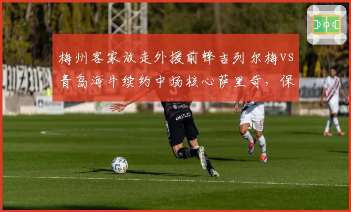 梅州客家放走外援前锋吉列尔梅vs青岛海牛续约中场核心萨里奇，保级队人员流失与保留决策对比